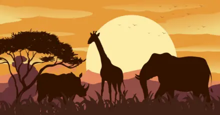 Which Wild Animal Are You?